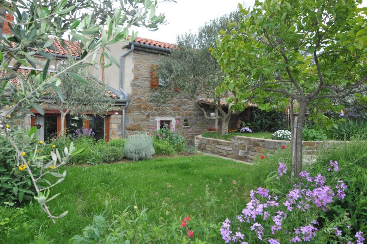 Вилла Istrian Stone House Сечовле Экстерьер фото