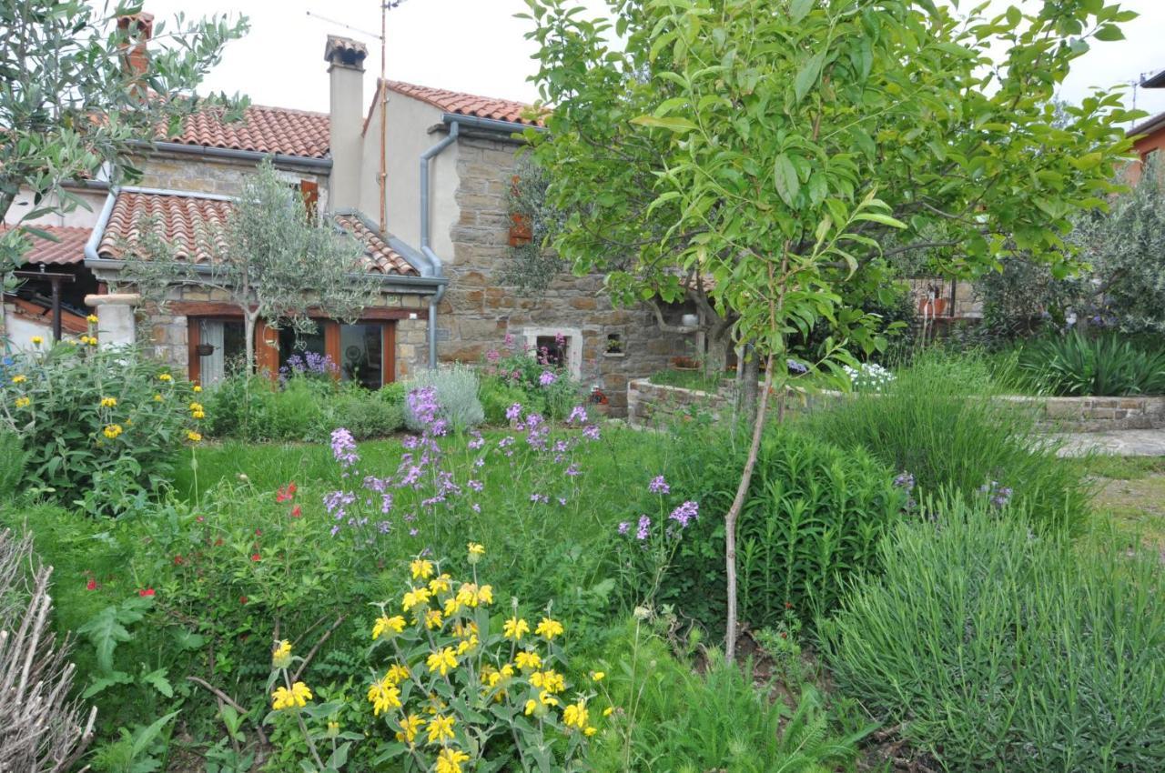 Вилла Istrian Stone House Сечовле Экстерьер фото
