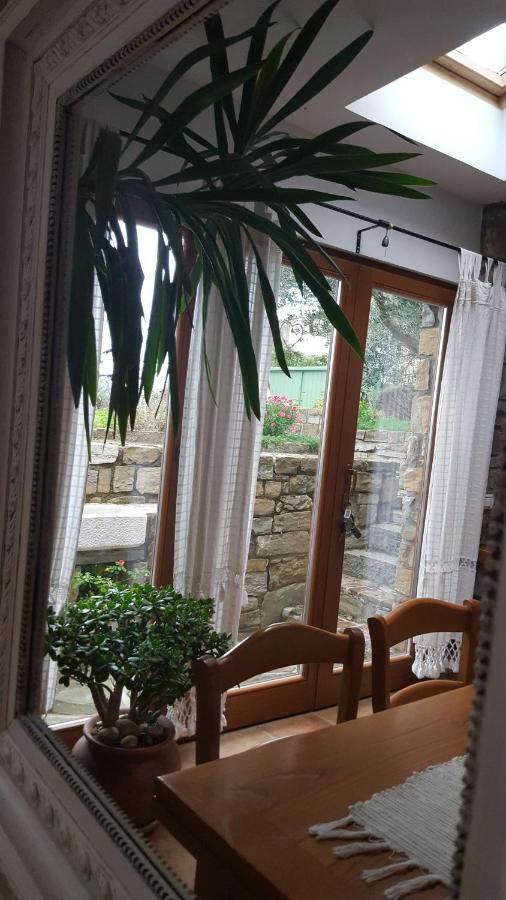 Вилла Istrian Stone House Сечовле Экстерьер фото