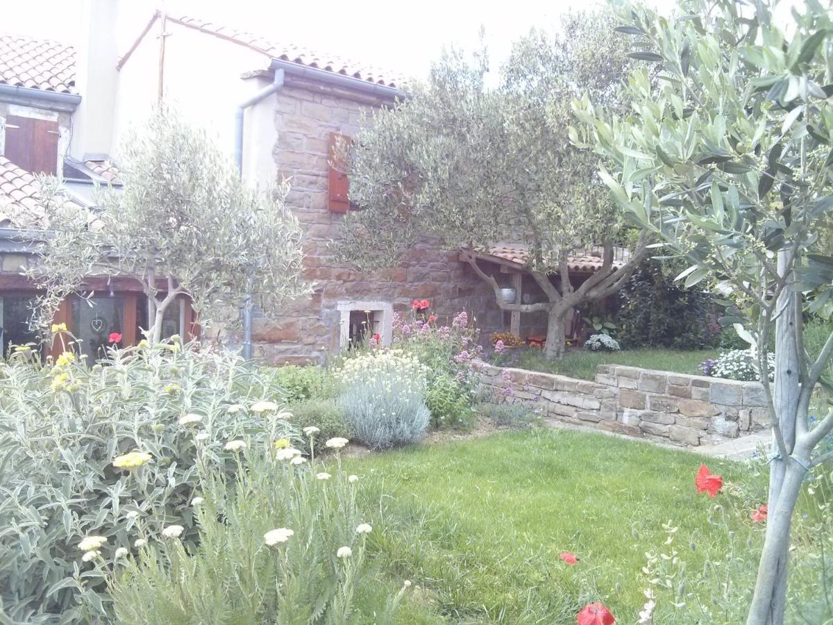 Вилла Istrian Stone House Сечовле Экстерьер фото