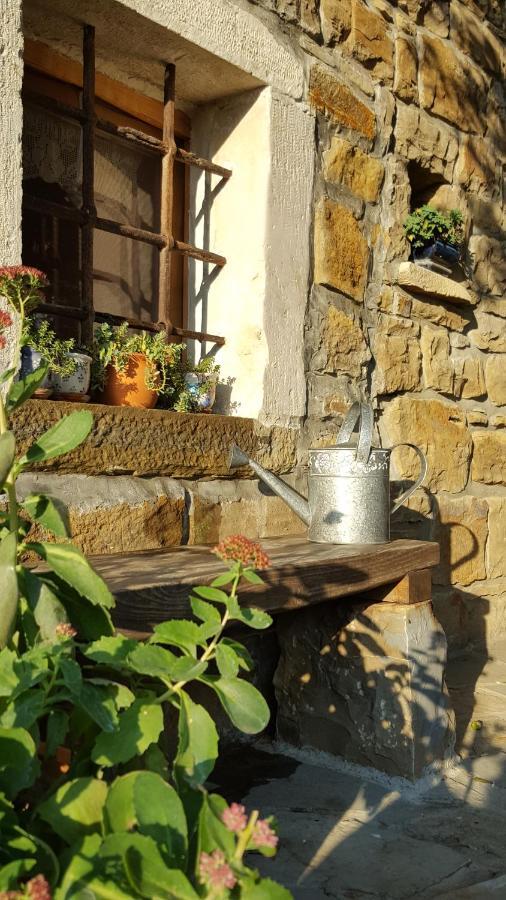 Вилла Istrian Stone House Сечовле Экстерьер фото