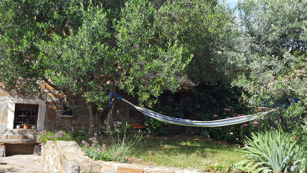 Вилла Istrian Stone House Сечовле Экстерьер фото