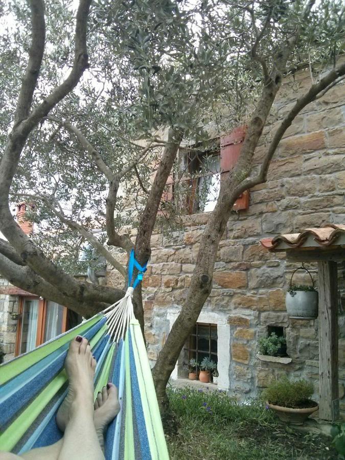 Вилла Istrian Stone House Сечовле Экстерьер фото