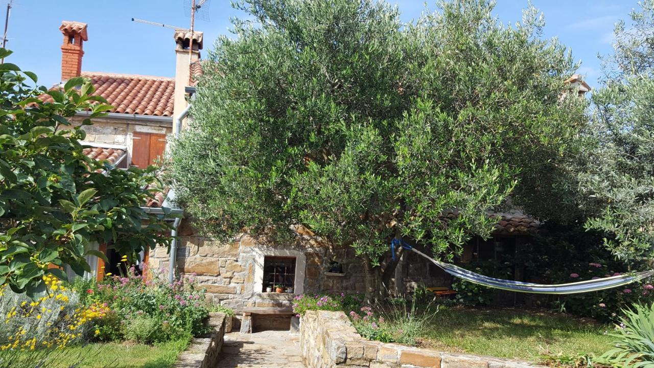 Вилла Istrian Stone House Сечовле Экстерьер фото