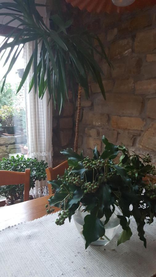 Вилла Istrian Stone House Сечовле Экстерьер фото